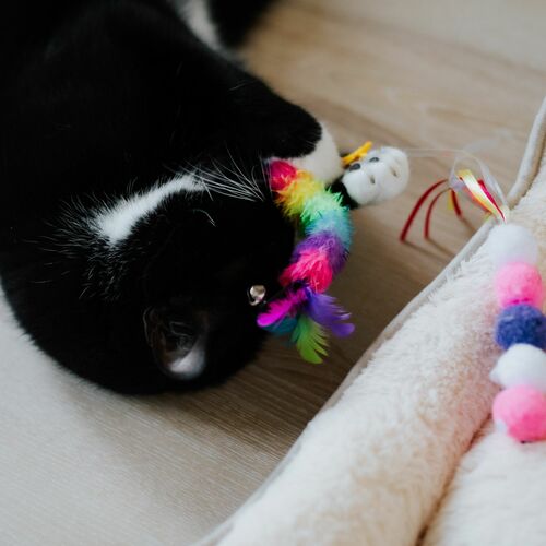 Product photo Cat Toy "Worm" 9