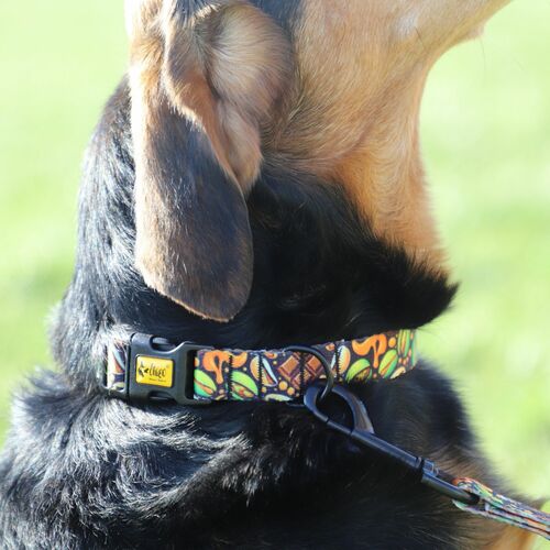 Product photo City 'Dubai' Collar Adjustable 6