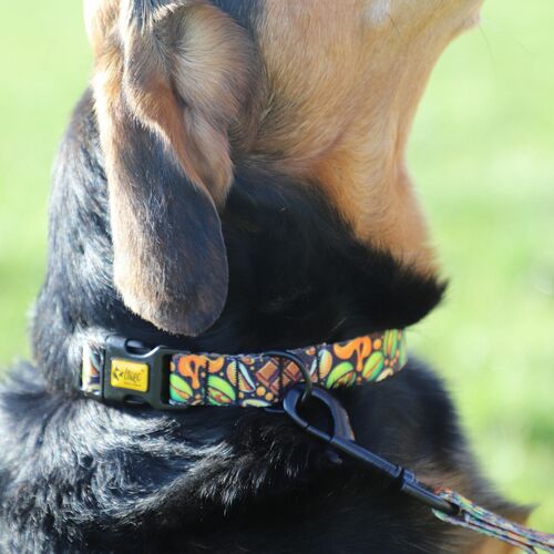 Product photo City 'Dubai' Collar Adjustable 7