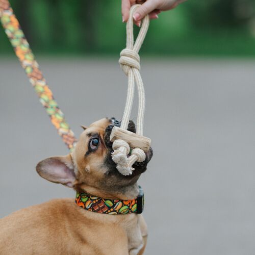 Product photo Chew Toy Made Of Coffee Wood On A Rope 14