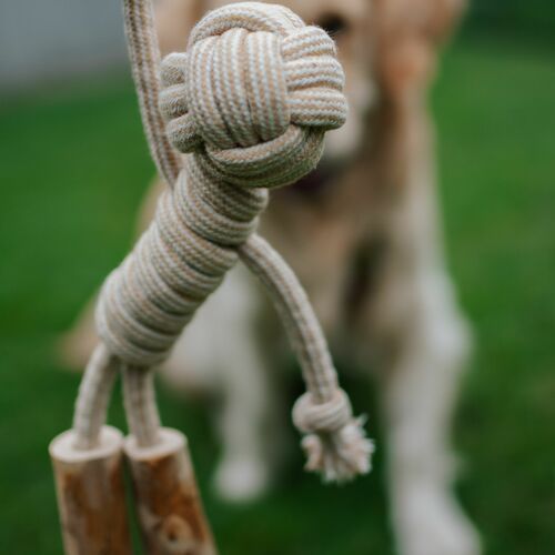 Product photo Chew Toy Made Of Coffee Wood On A Rope 9