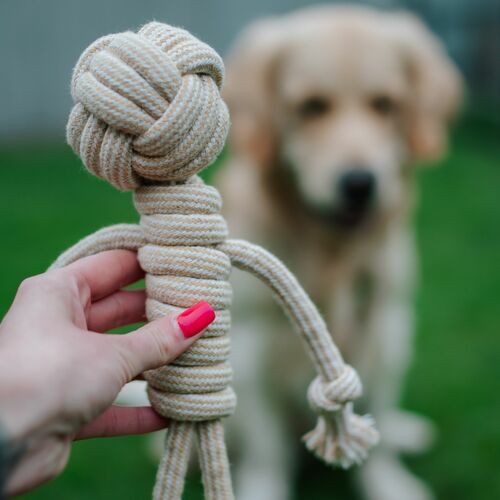 Product photo Chew Toy Made Of Coffee Wood On A Rope 11