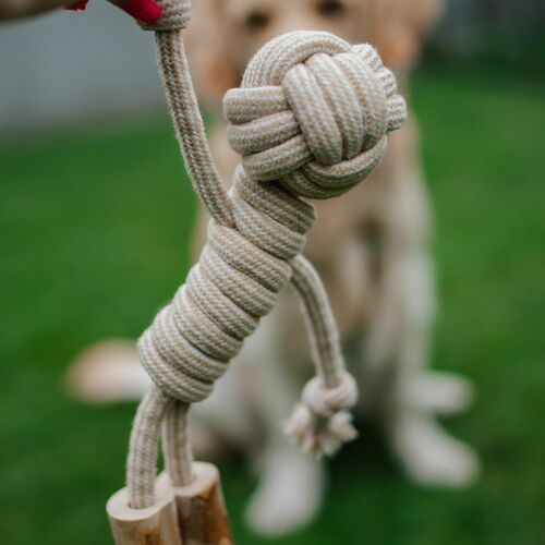 Product photo Chew Toy Made Of Coffee Wood On A Rope 12