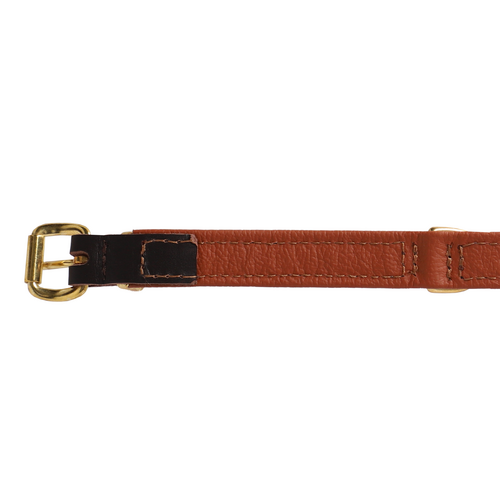 Product photo EXCLUSIVE Leather Collar with brass 5