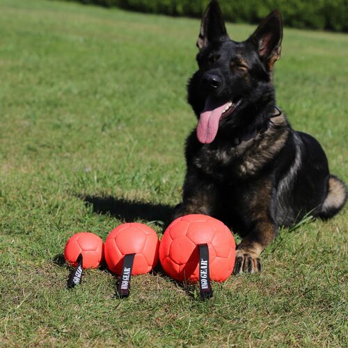 Product photo Inflatable ball with handle 2