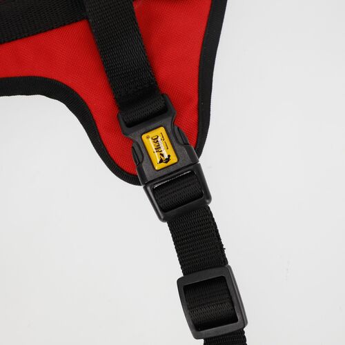 Product photo Active No-Pressure Dog Harness 4