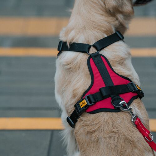 Product photo Active No-Pressure Dog Harness 9
