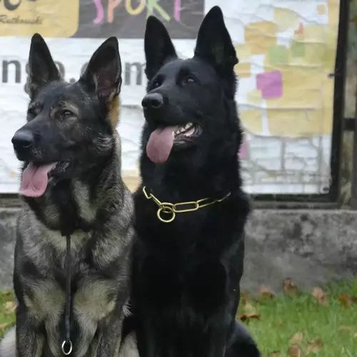 Product photo Choke collar made of rope, #6mm, black 9