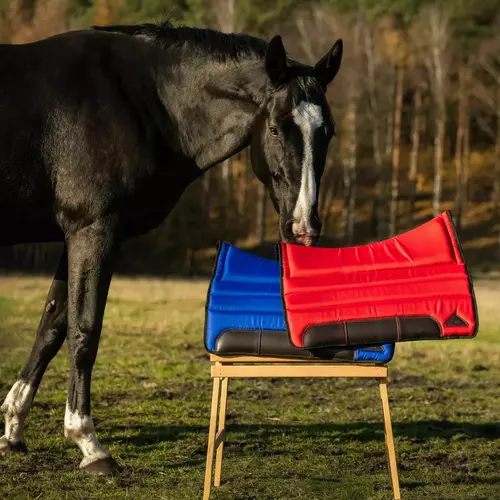 Zdjęcie produktu Potnik treningowo-wyścigowy, 90 x 63 cm 15