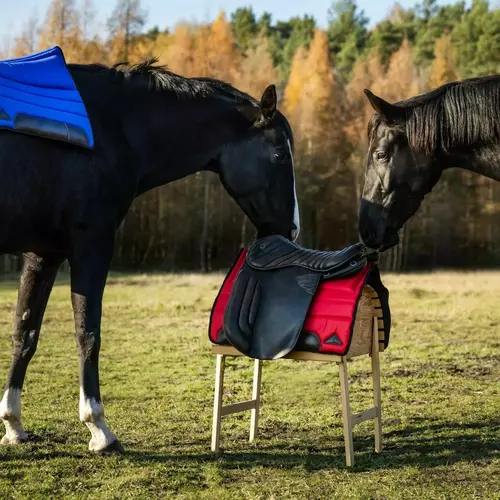 Product photo Racing saddle pad, 90 x 63 cm 13