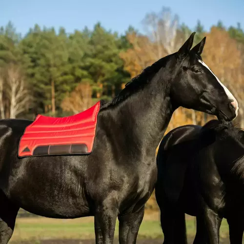 Product photo Racing saddle pad, 90 x 63 cm 15