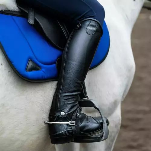 Product photo Profile leather half chaps made of nubuck leather 15