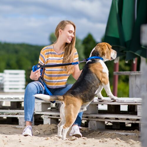 Product photo ENERGY EXTRA leash - double tape 8