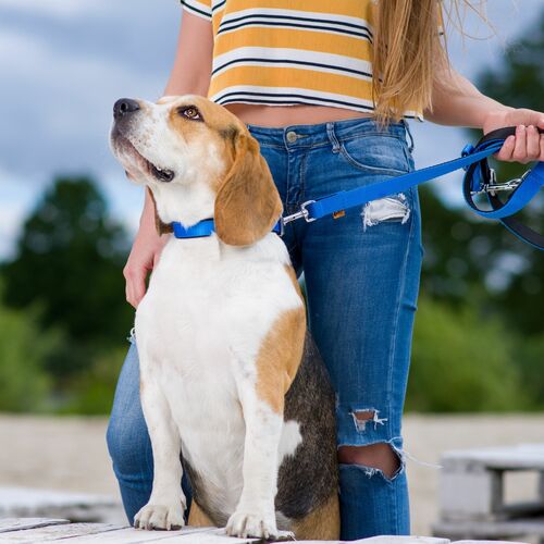 Product photo ENERGY EXTRA leash - double tape 9