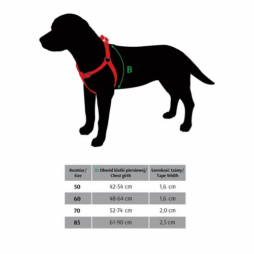 Product photo WINNETOU dog harness Step-in 4