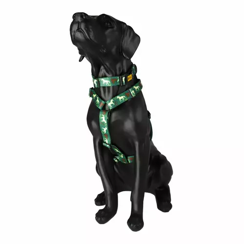 Product photo City Horse Guard Harness 5