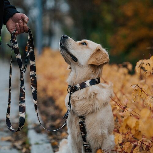 Product photo City Texas Leash 11