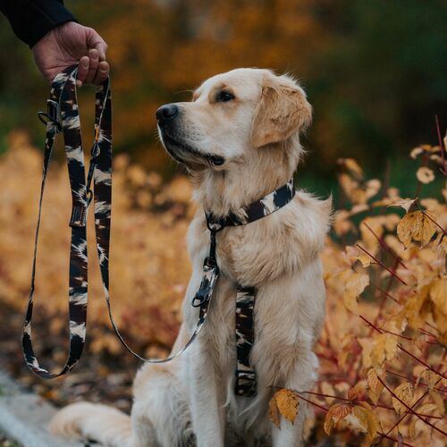 Product photo City Texas Guard Harness 8