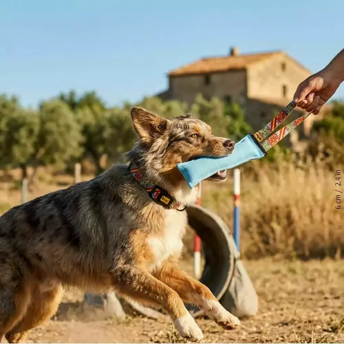 Zdjęcie produktu Szarpak agility Spain 2