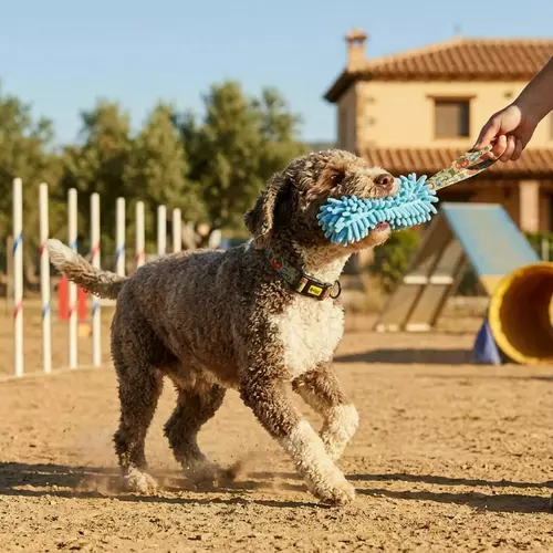 Product photo Mop tug toy Italy 3