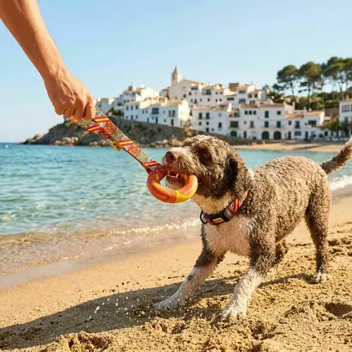 Product photo Ring tug toy with handle Spain 3
