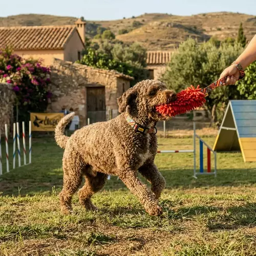 Zdjęcie produktu Szarpak mop Spain 3