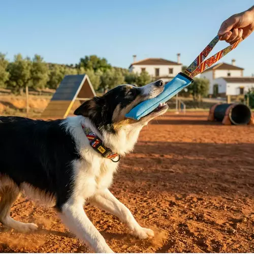 Product photo Agility tug toy Spain 3