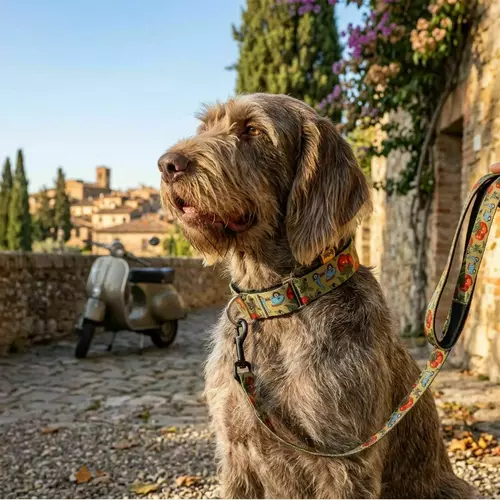 Zdjęcie produktu Obroża martingale City Italy 8