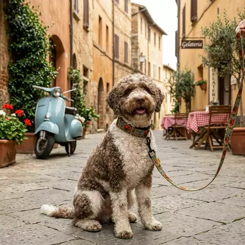 Zdjęcie produktu Obroża martingale City Italy 2