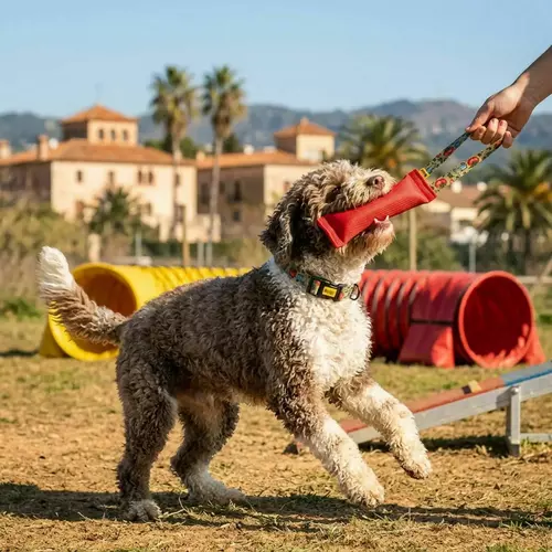 Product photo Adjustable leash City Italy 5