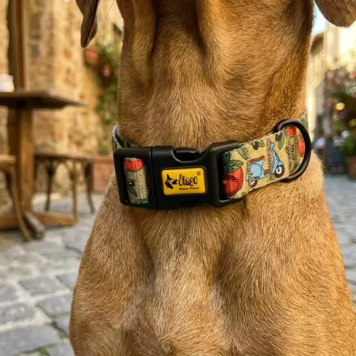 Product photo Adjustable collar City Italy 8