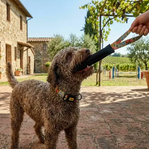 Zdjęcie produktu Szarpak agility Italy 3