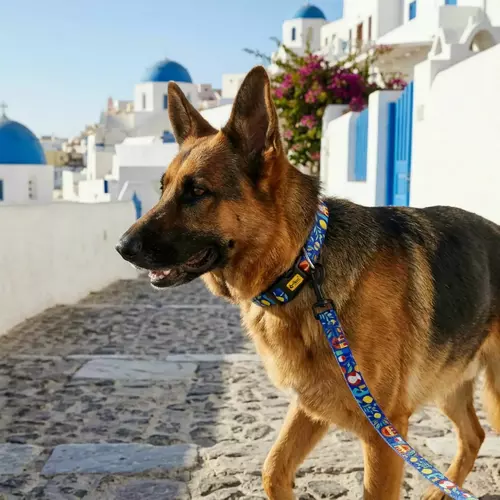 Product photo Adjustable leash City Greece 6