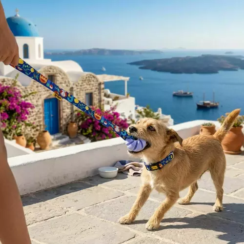 Zdjęcie produktu Szarpak piłka z raczką z rączką Greece 4