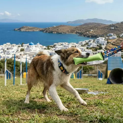 Zdjęcie produktu Szarpak agility Greece 4
