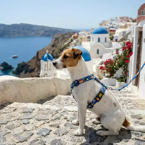 Product photo Double-strap guard harness City Greece M 2