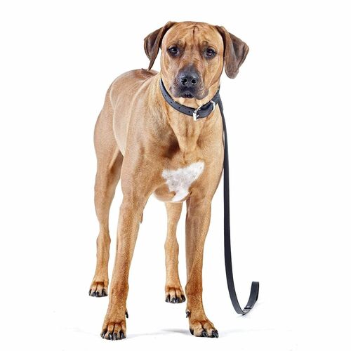 Product photo SOFT BROWN Leather Leash With Handle, Sewn 6