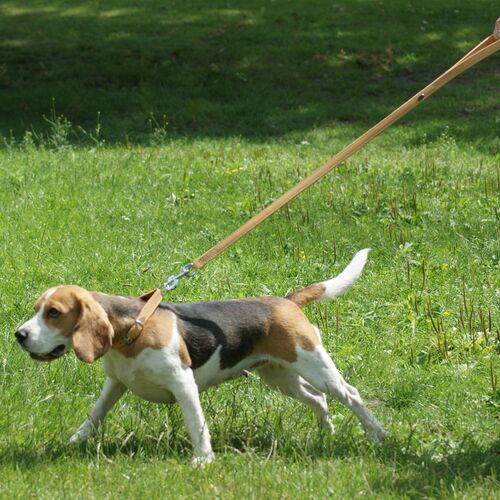 Product photo SOFT NATURAL Leather Leash With Handle, Sewn 7