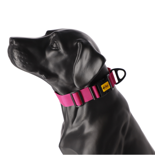 Product photo Wide Dog Collar with Black Hardware 2