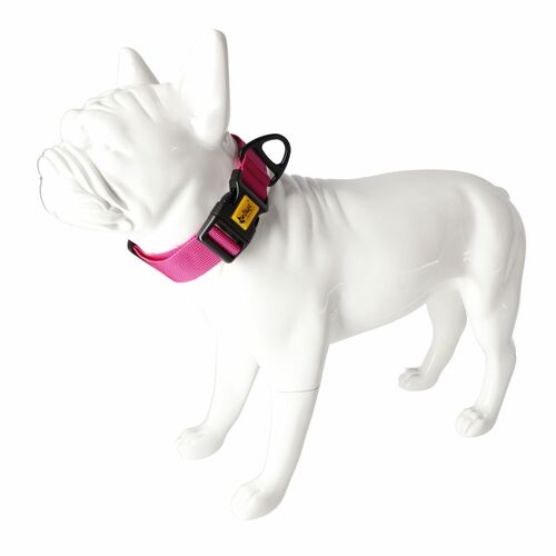 Product photo Wide Dog Collar with Black Hardware 3