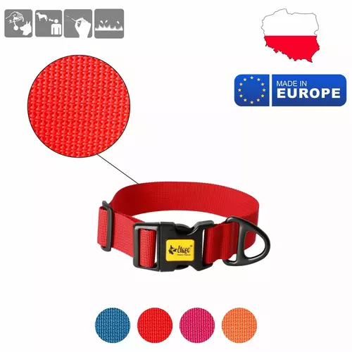 Product photo Wide Dog Collar with Black Hardware 6