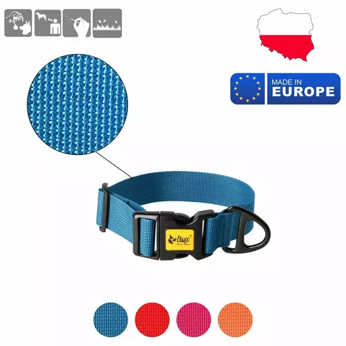 Product photo Wide Dog Collar with Black Hardware 7