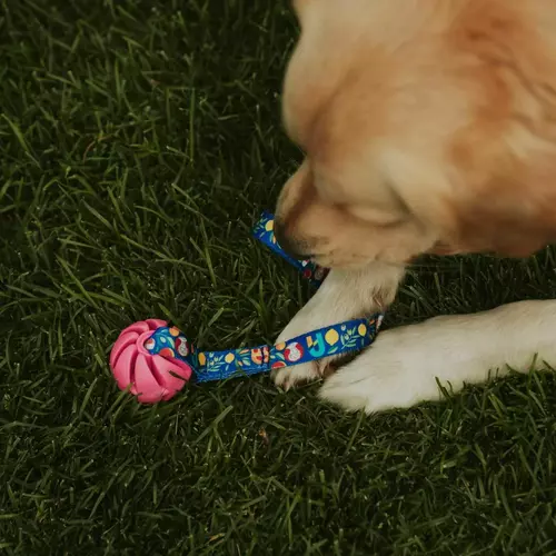 Product photo Ball tug toy with handle Greece 14
