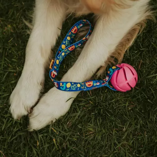 Product photo Ball tug toy with handle Greece 15