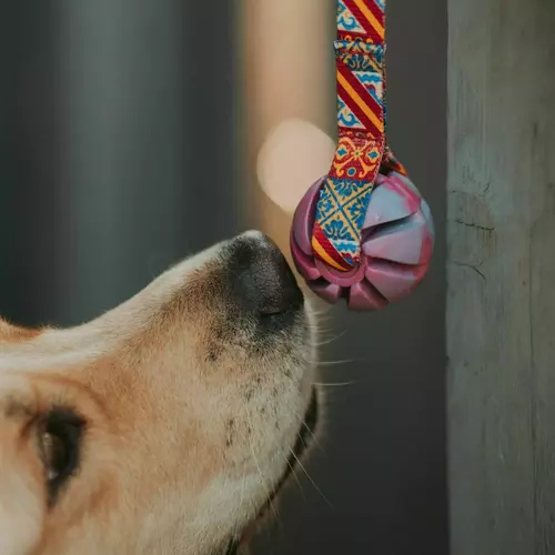 Product photo Ball tug toy with handle Spain 8