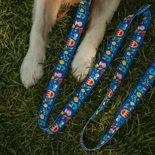 Product photo Adjustable leash City Greece 11