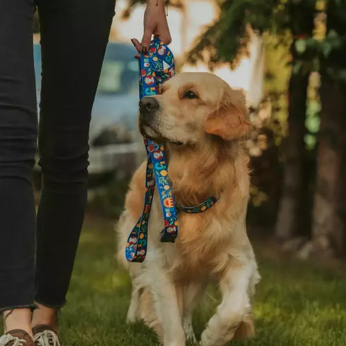 Product photo Adjustable leash City Greece 13