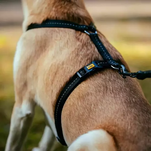 Zdjęcie produktu Szelki GUARD z taśmy odblaskowej REFLEX 8
