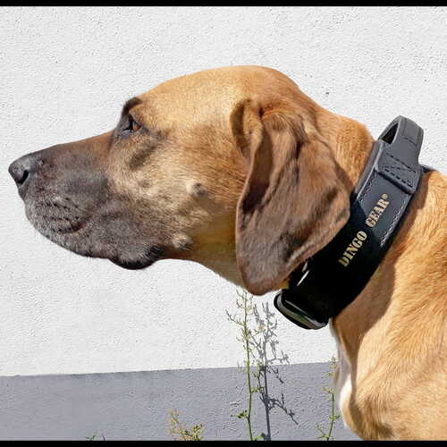 Product photo Tape collar with DRAGO handle, black 3