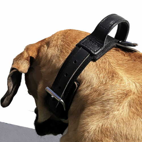 Product photo Tape collar with DRAGO handle, black 6